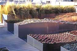 Photo by Holly Stewart