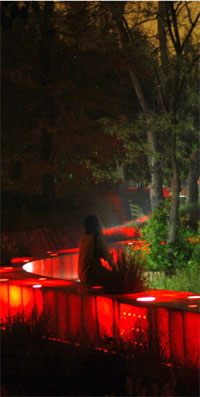 Leventritt Garden at The Arnold Arboretum of Harvard University by Reed Hilderbrand. Photo: Andrea Jones