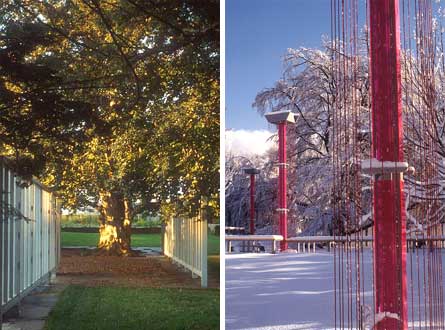 &copy; Dean Cardasis