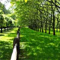 &copy; Greenwood Gardens