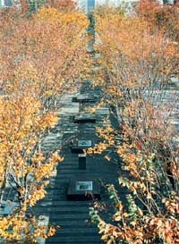 Photo courtesy of the Estate of Kazuaki Hosokawa