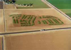 Rotations: Moore Estates by Matthew Moore